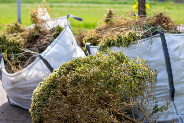 Best Furniture Removal Near Me  in Parksdale, CA